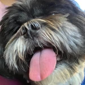 Meet your Posher, Sarina